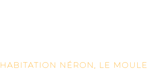 LOGO NERO VIDEO (1)