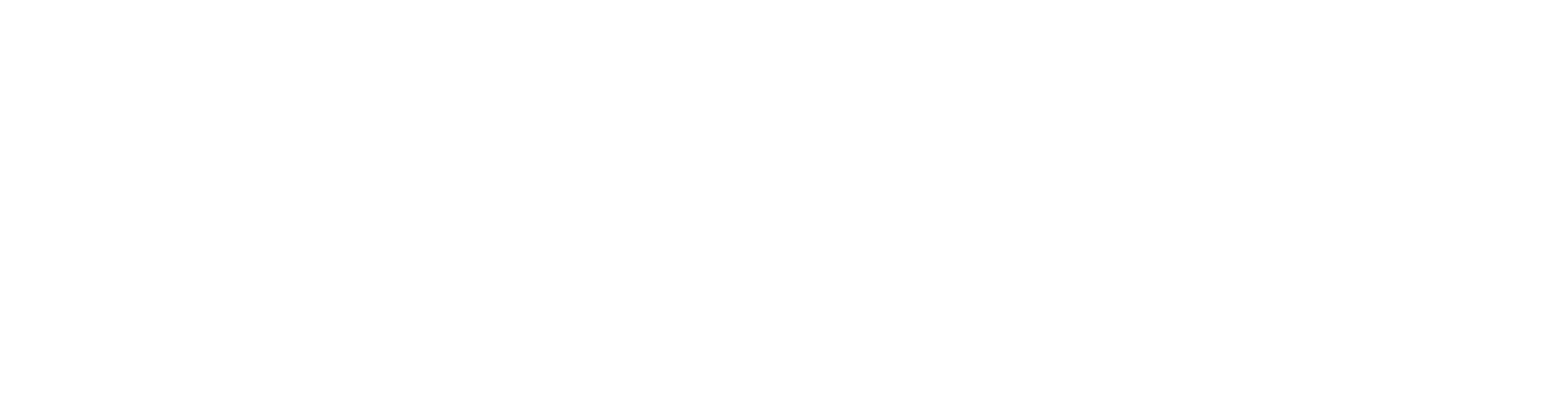 Logo_Neron_blanc